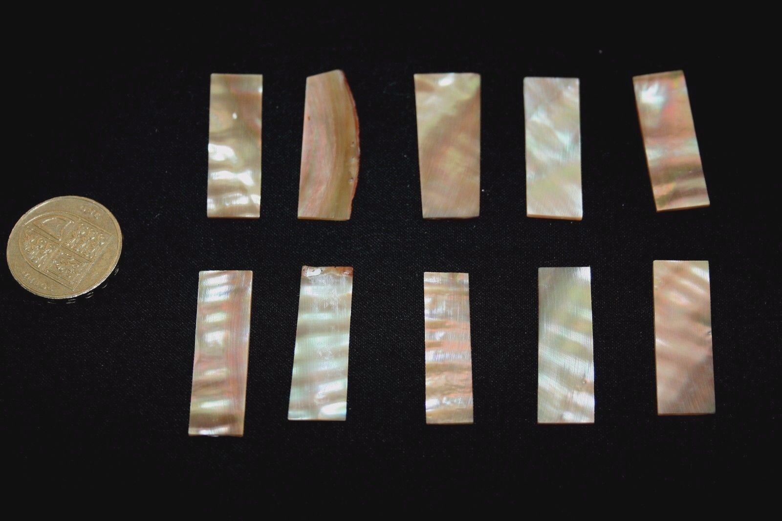 10 pcs JAPANESE  ABALONE mother of pearl