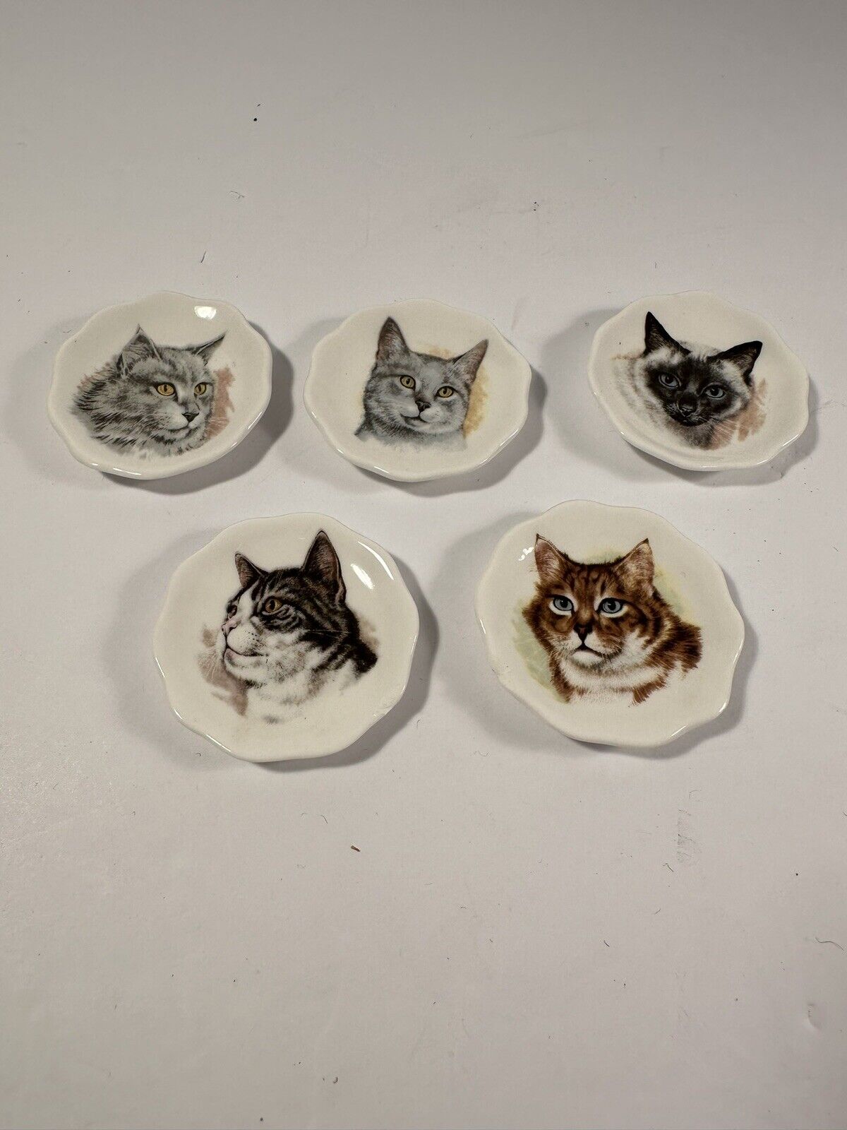 5 Vintage Miniature Fine Bone China Cat Plates Britain Made