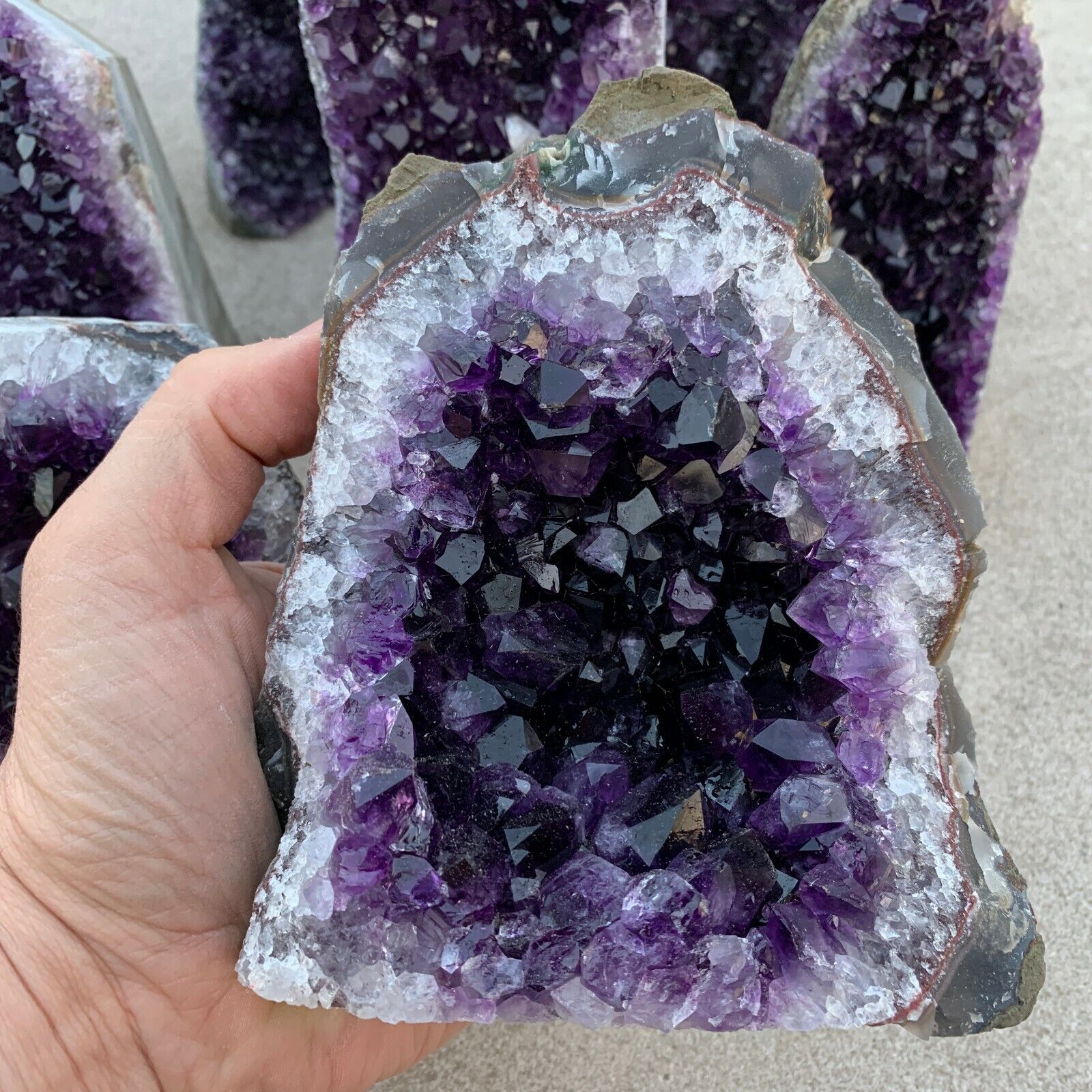 EXTRA EXTRA LARGE AMETHYST Druze Crystal Cluster With Cut Base Specimen ~ 3 Lbs.
