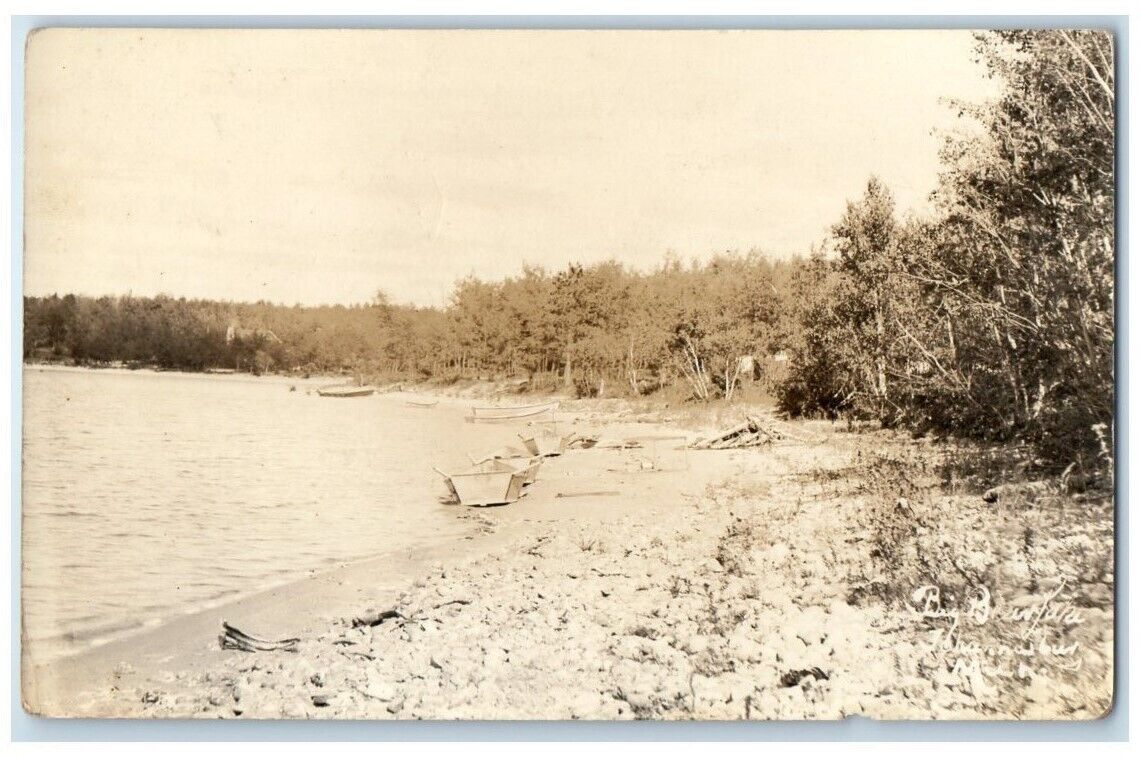 c1930's Big Bear Lake Canoe View Johannesburg MI RPPC Photo Unposted Postcard
