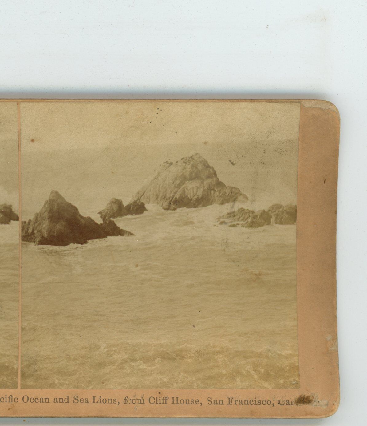 Pacific Ocean Sea Lions From Cliff House San Francisco CA Kilburn Stereoview