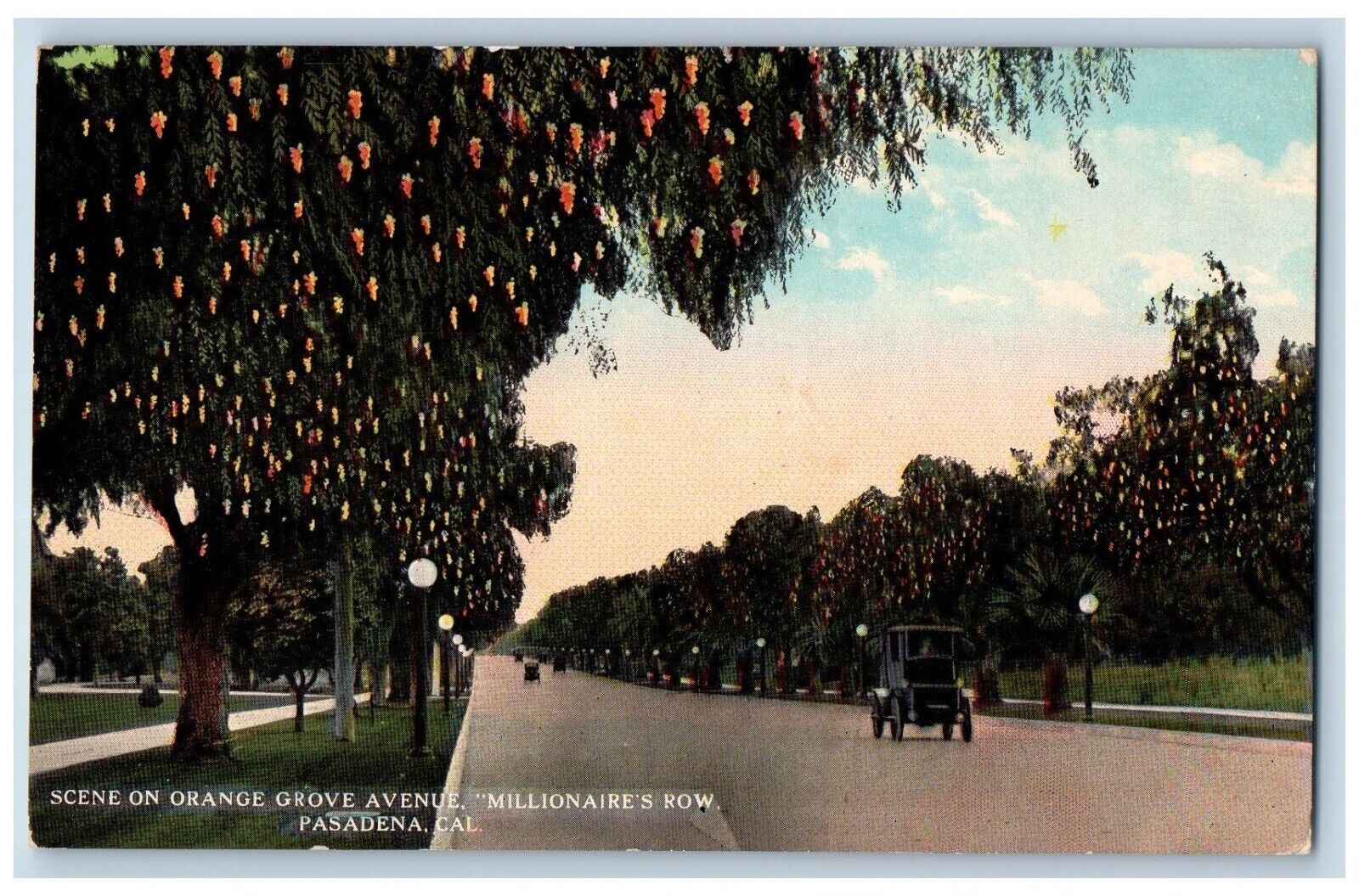 Pasadena California CA Postcard Scene Orange Grove Avenue Millionaire Row c1910