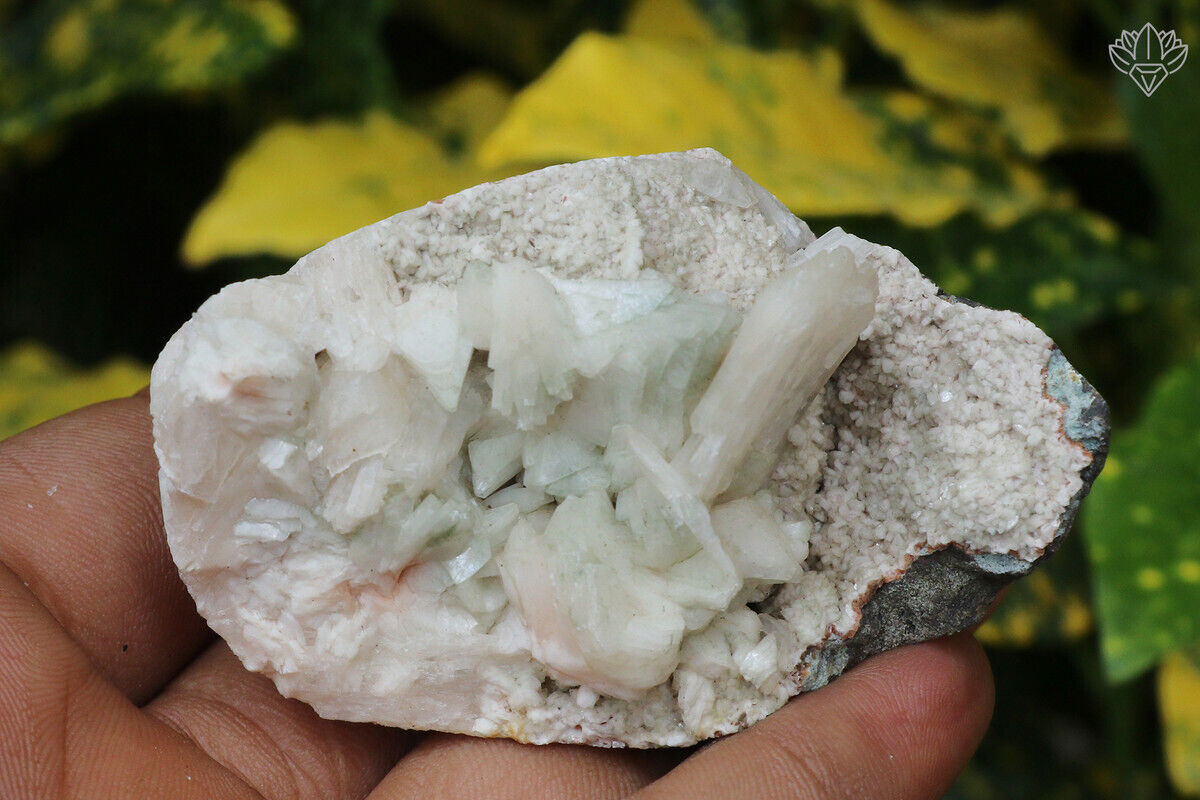 100 gm Apophyllite Minerals Specimen Indian Natural Cluster Home Decor Stone