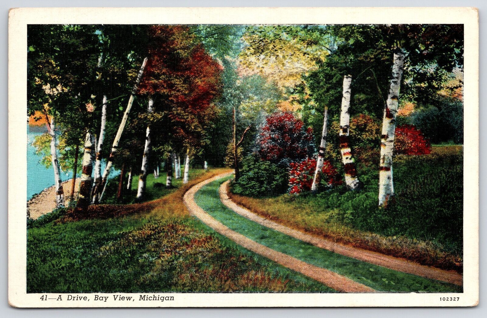 A Drive Bay View Michigan MI Home Road Along Flower Garden Nature View Postcard