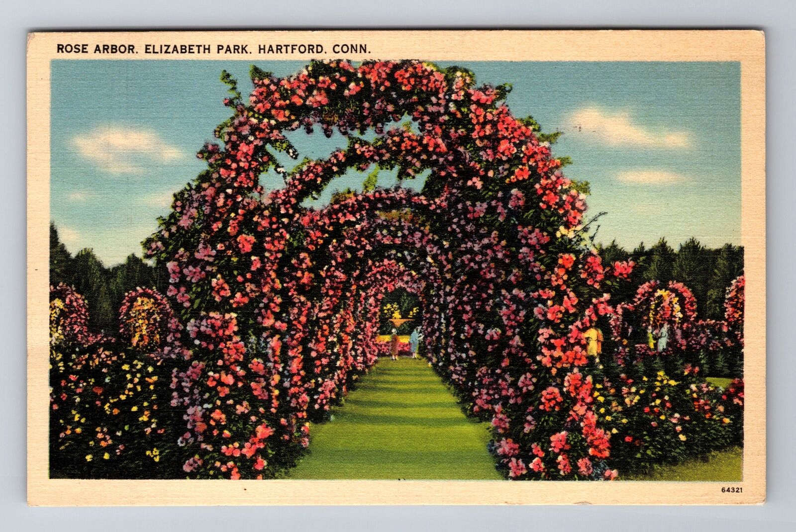 Hartford CT-Connecticut, Rose Arbor, Elizabeth Park, Vintage c1940 Postcard