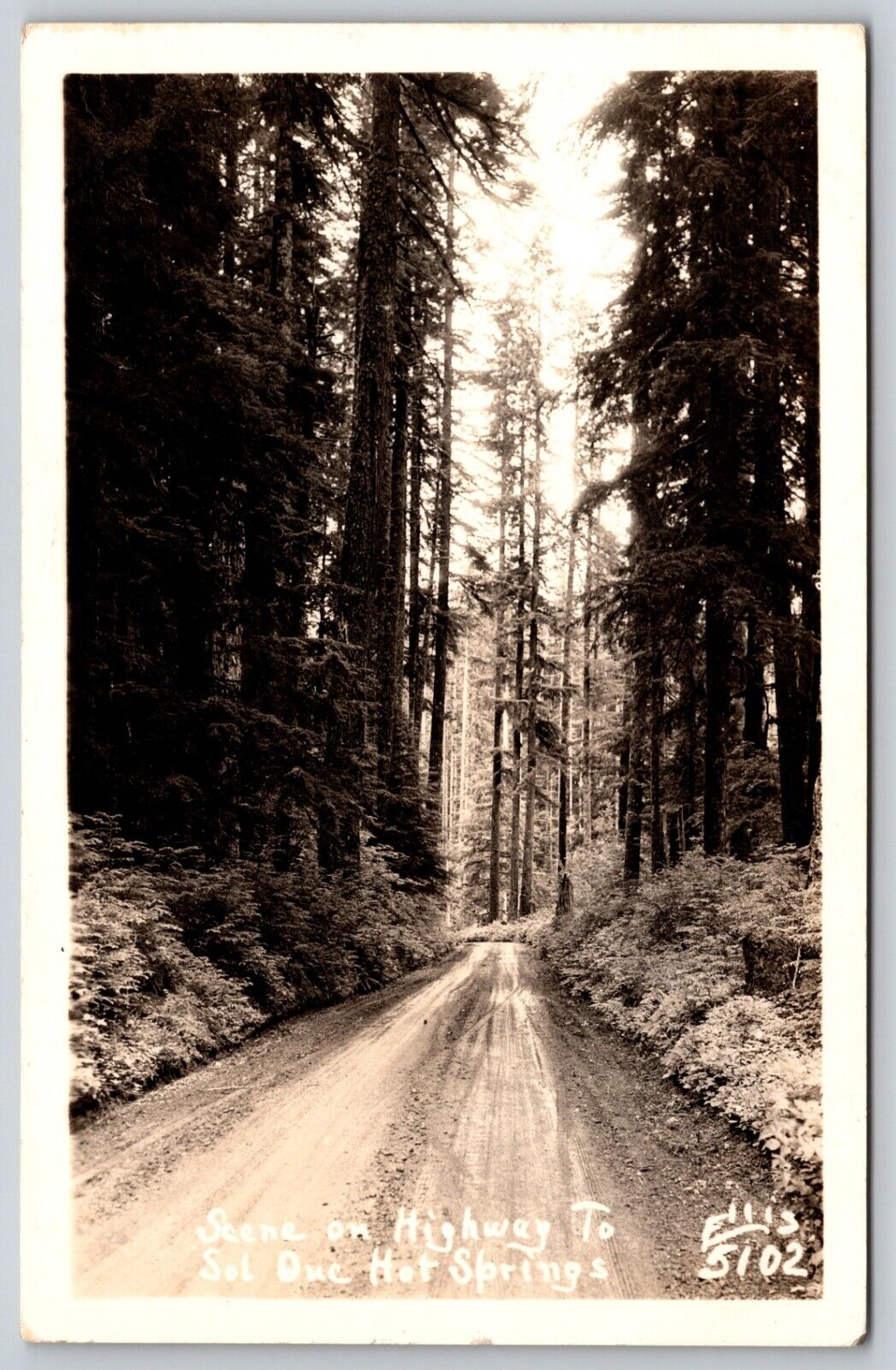 RPPC - Highway to Sol Duc Hot Springs Olympic Peninsula WA - Real Photo Postcard