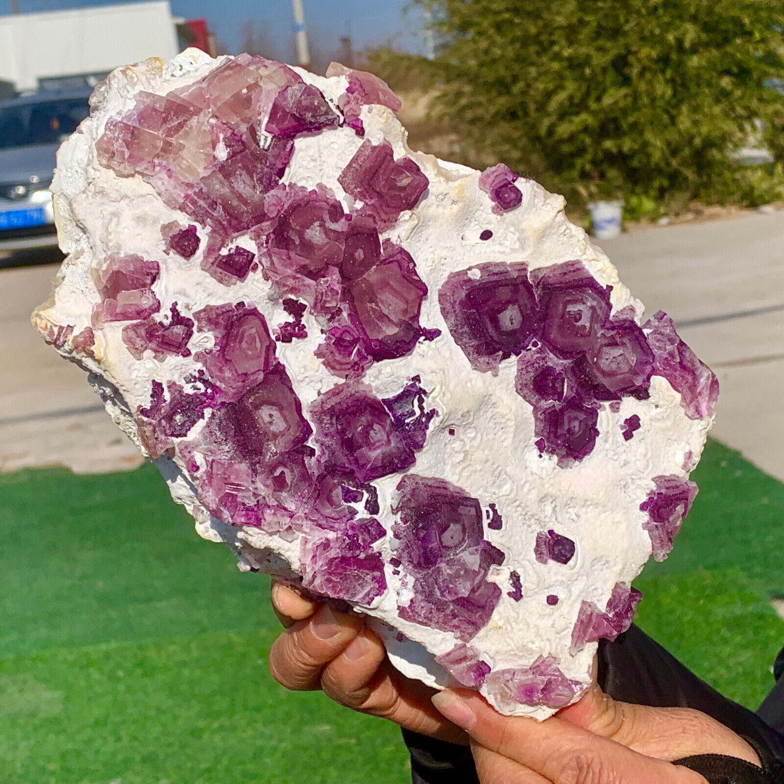 5.87LB Rare Natural Purple cubic fluorite mineral crystal sample/China