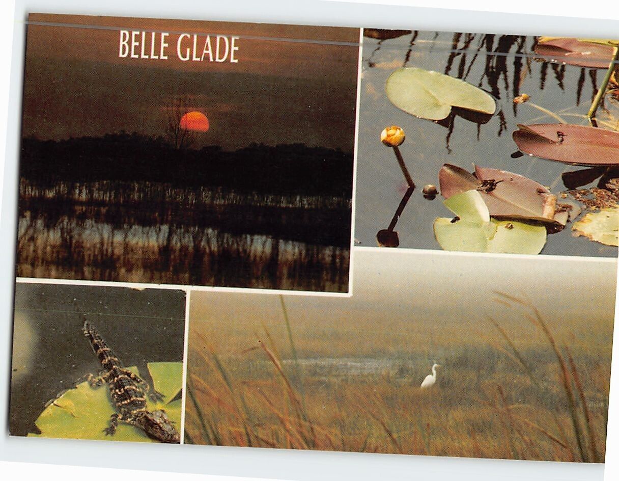 Postcard Belle Glade Florida USA
