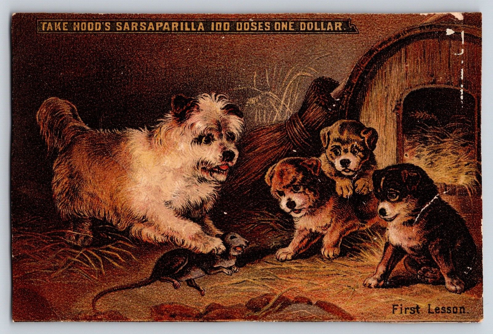 Victorian Trade Card Antique Vintage Puppies, Hood’s Sarsaparilla Catarrh Blood