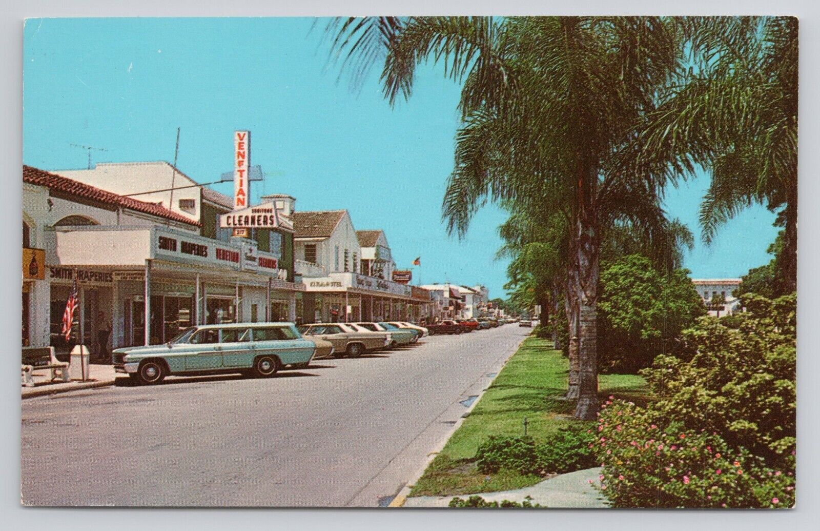 Street View Palm Lined Blvd Business Area Venice Florida Postcard 04