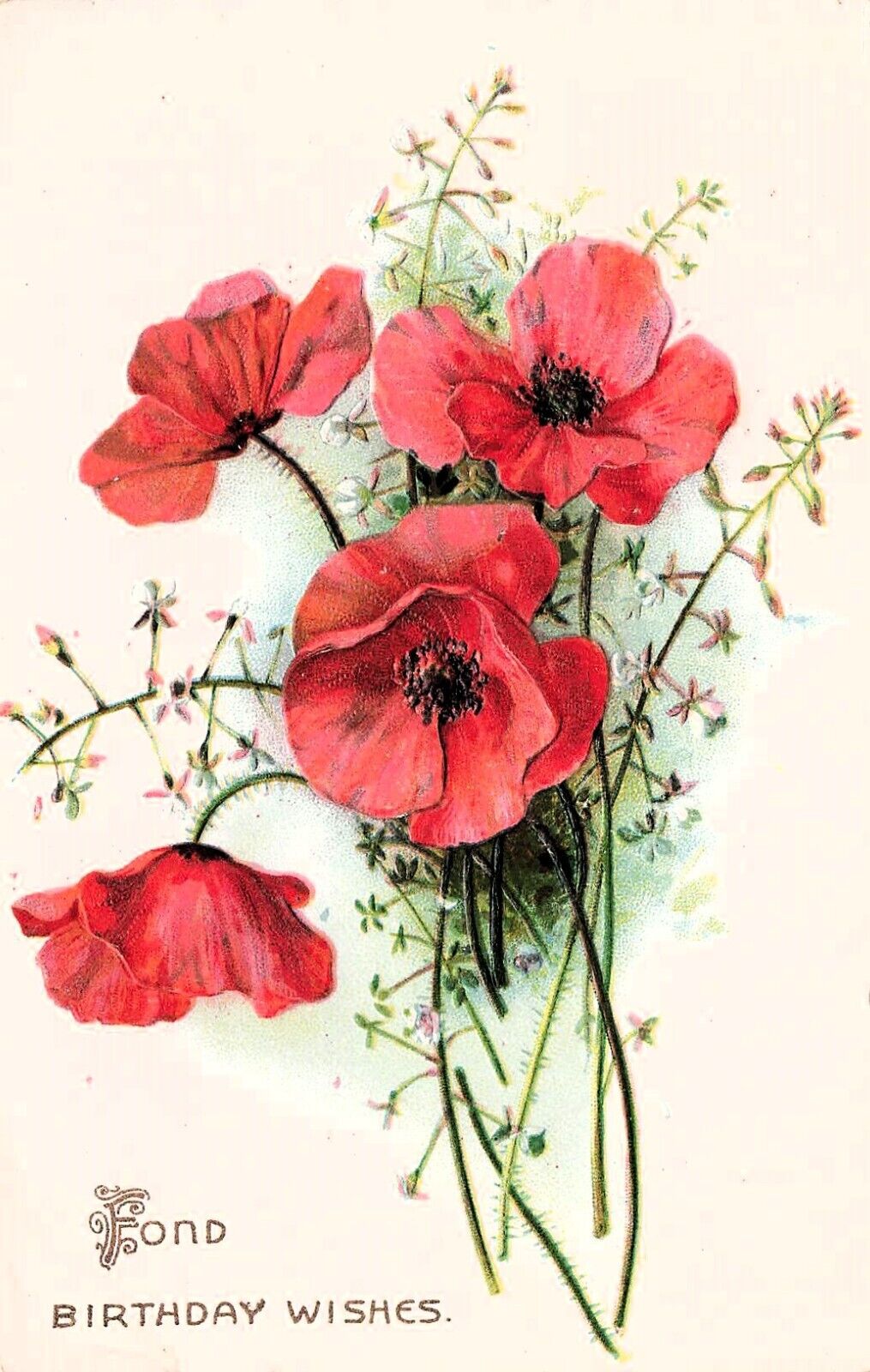 Antique Birthday Card Red Poppy Flowers Poppies Botanical Tucks Vtg Postcard D60