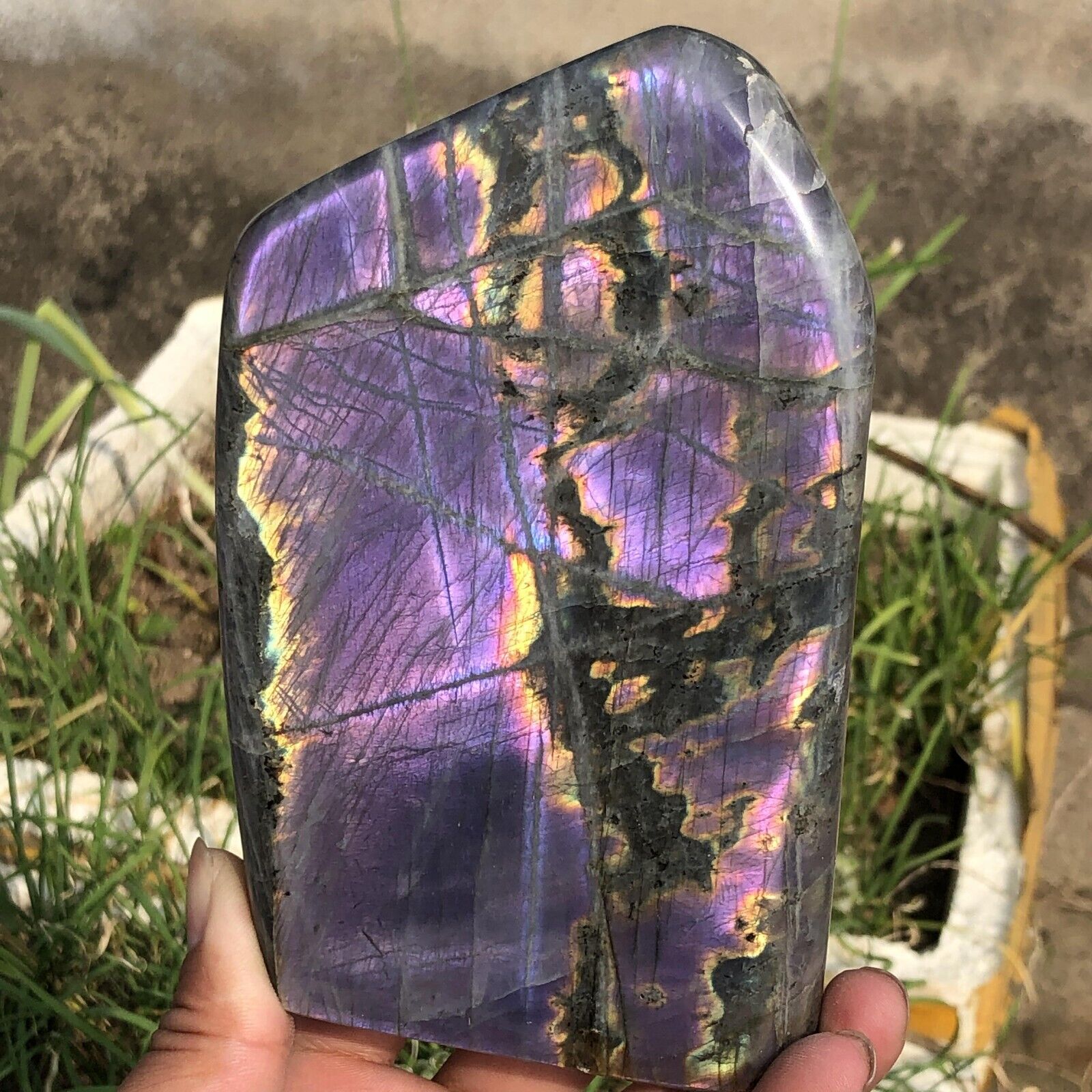 1150g Natural Rare Purple Labradorite Quartz Crystal Mineral Specimen Healing