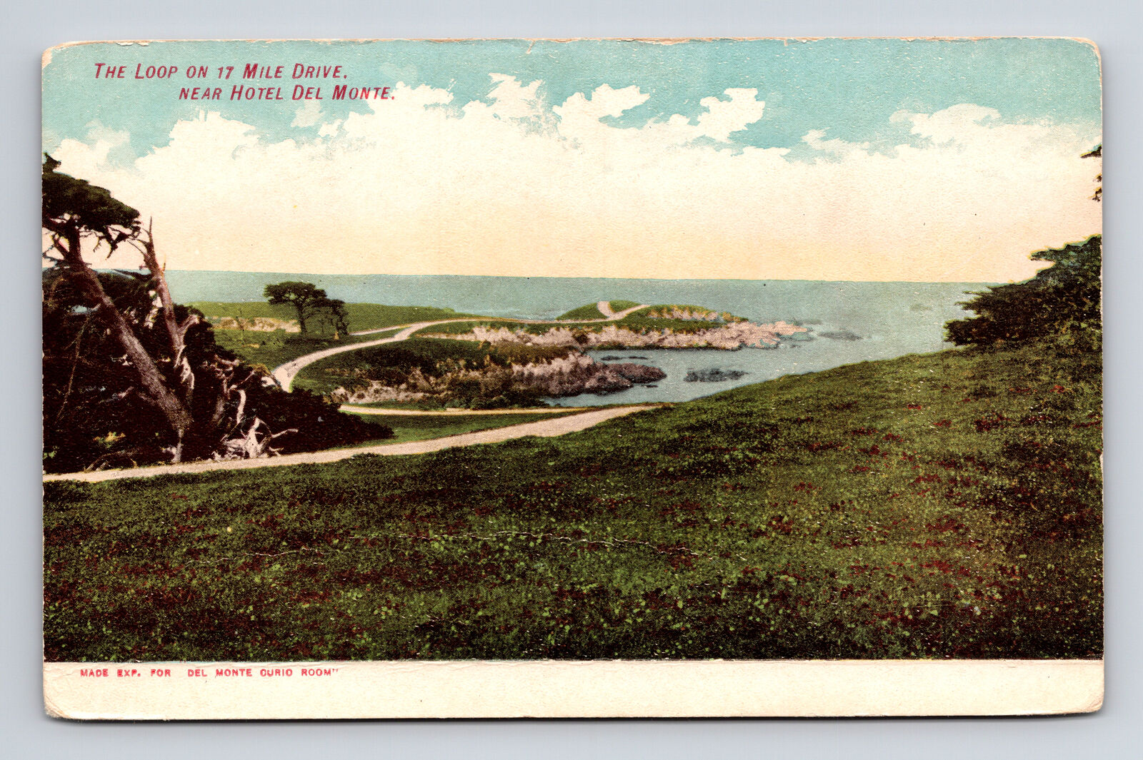 Postcard Monterey CA California Loop On 17 Mile Drive Near Hotel Del Monte