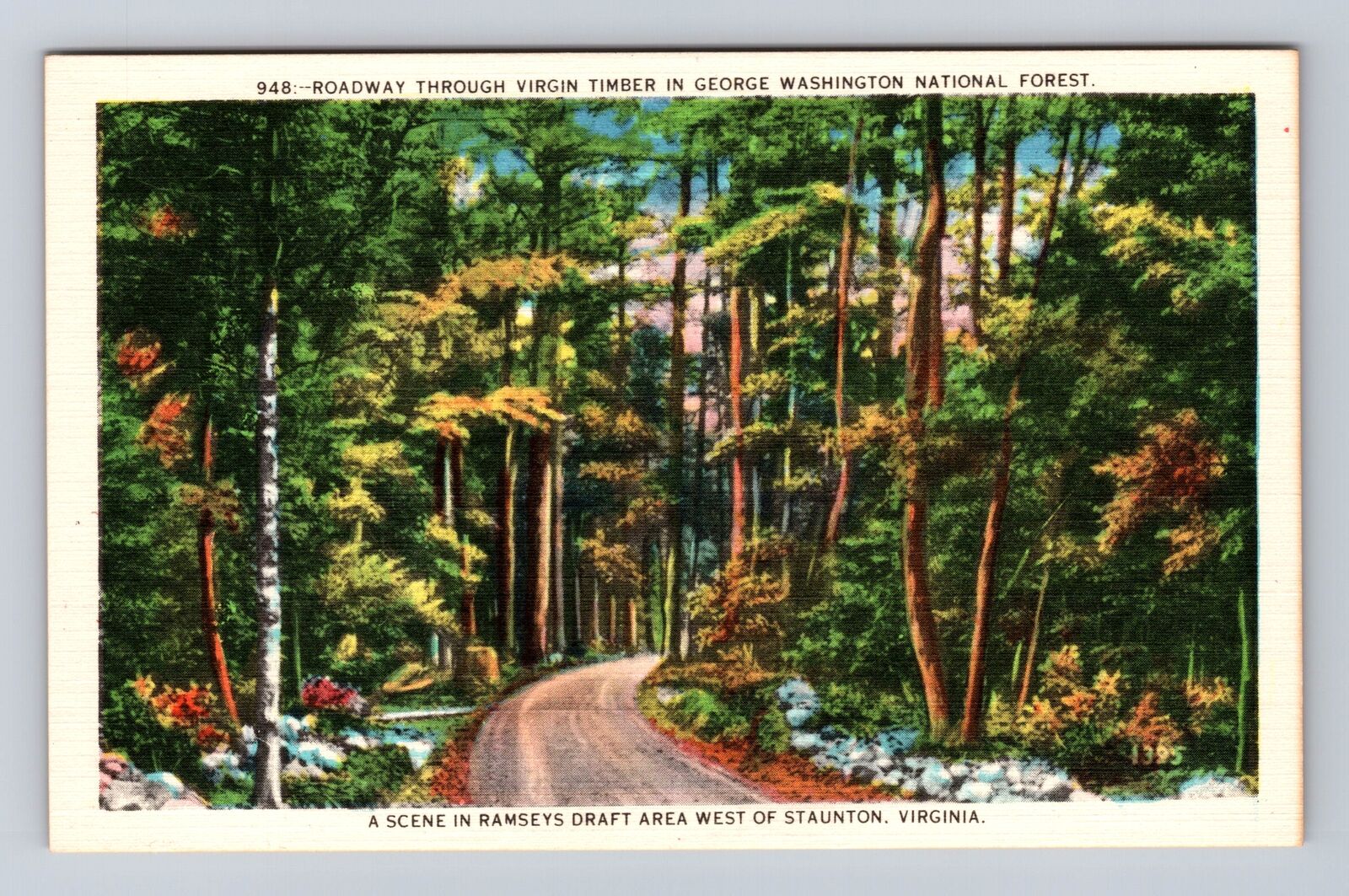 Staunton VA-Virginia, George Washington National Forest Antique Vintage Postcard
