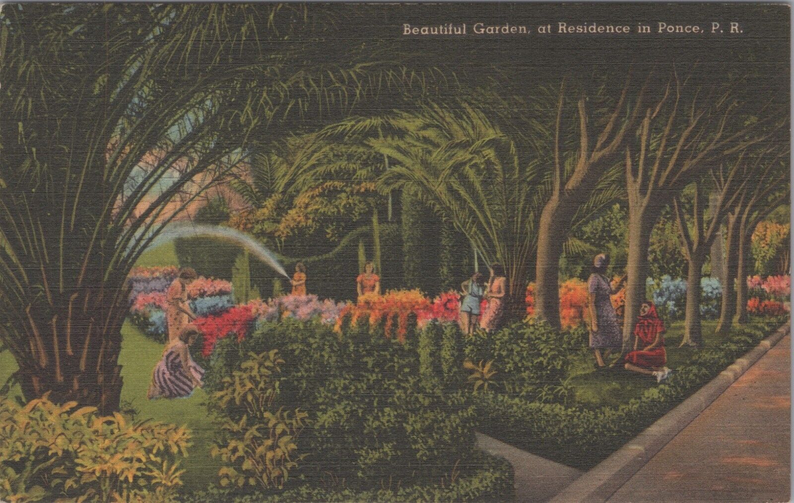 Beautiful Gardens at Residence in Ponce Puerto Rico PR 1930s UNP Postcard 8041.1
