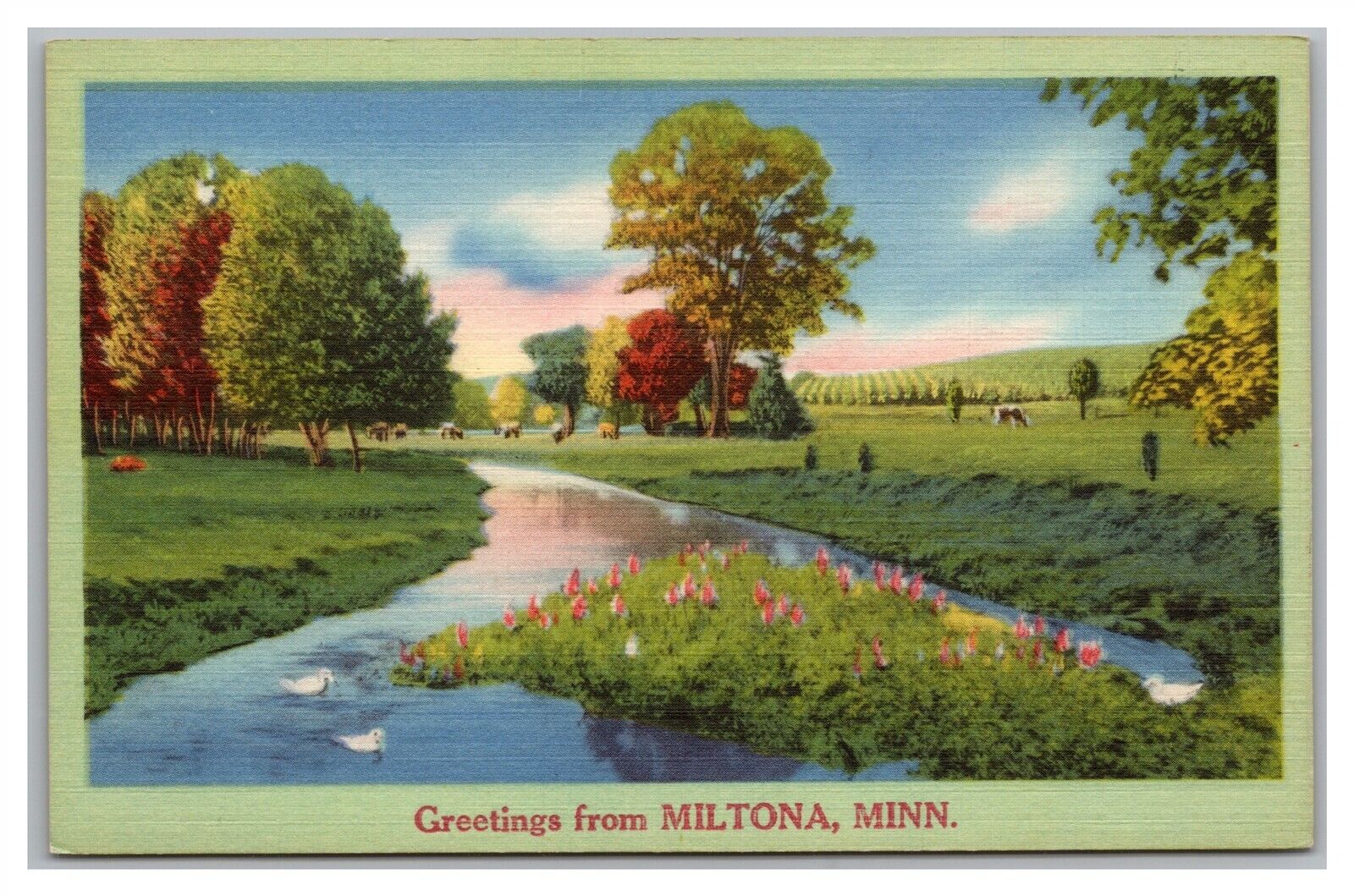 Postcard MN Scenic Greetings From Miltona Minnesota Vintage Linen P20
