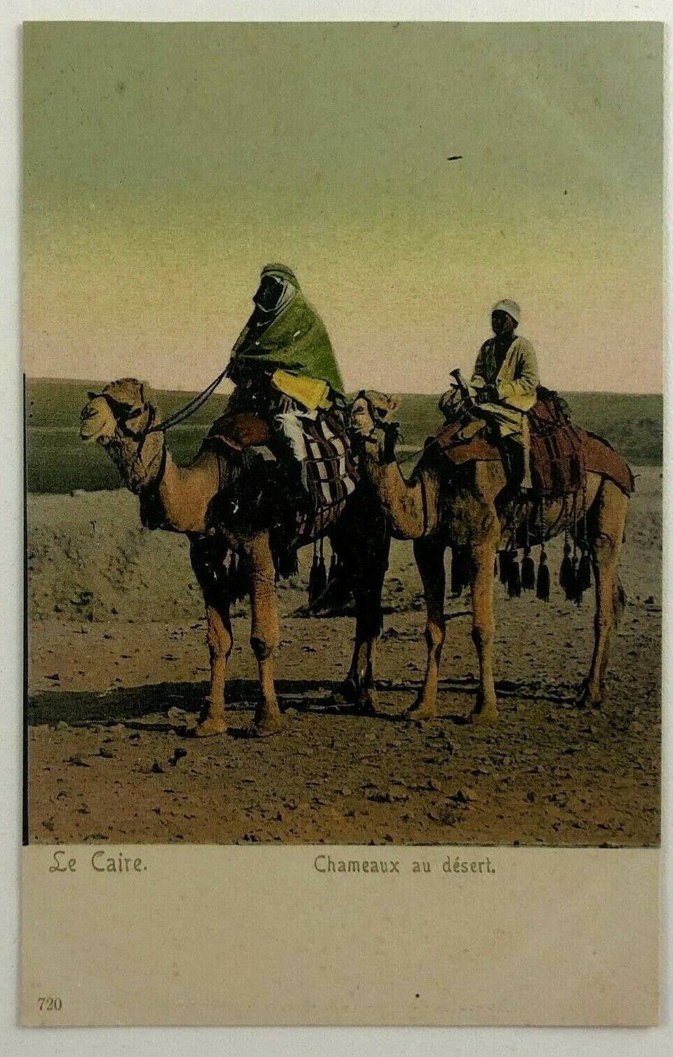 1920s Cairo Egypt Muslim Riders on Camel Back Postcard Vintage Antique