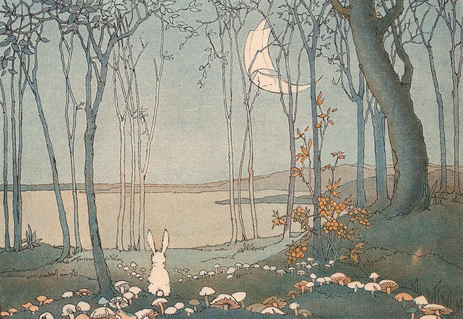   Postcard: Vintage Repro - Bunny Rabbit Looks at Crescent Moon, Lake, Mushrooms