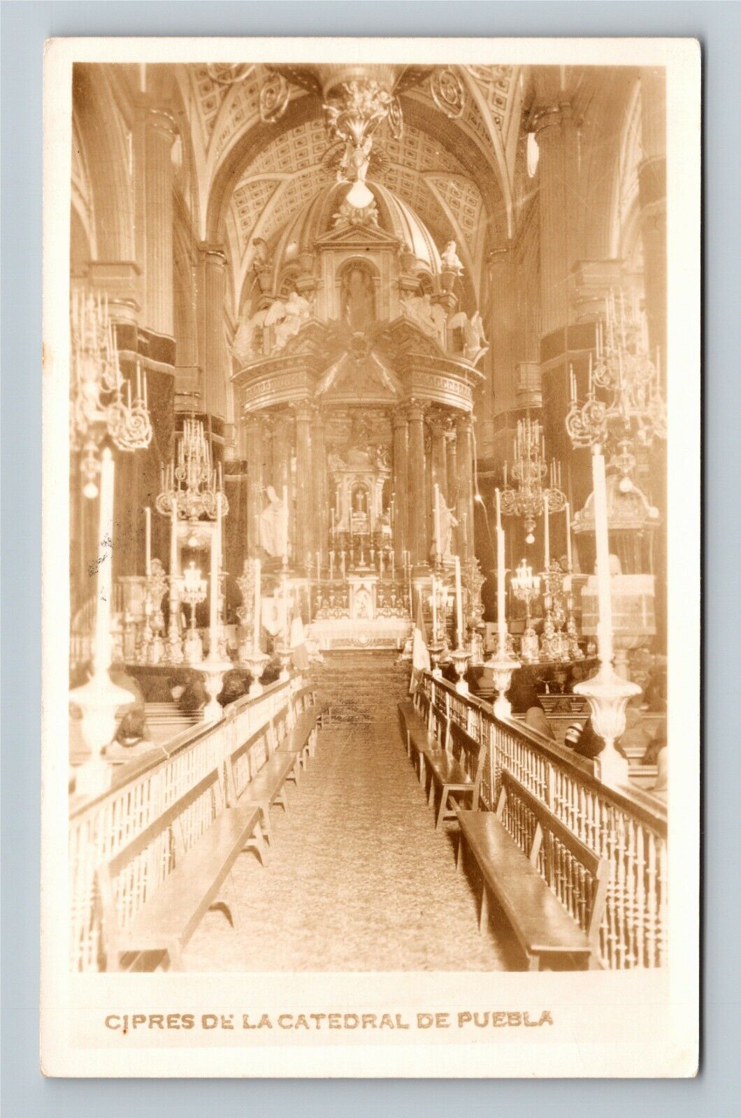 RPPC Cipres De La Catedral De Puebla Vintage Postcard