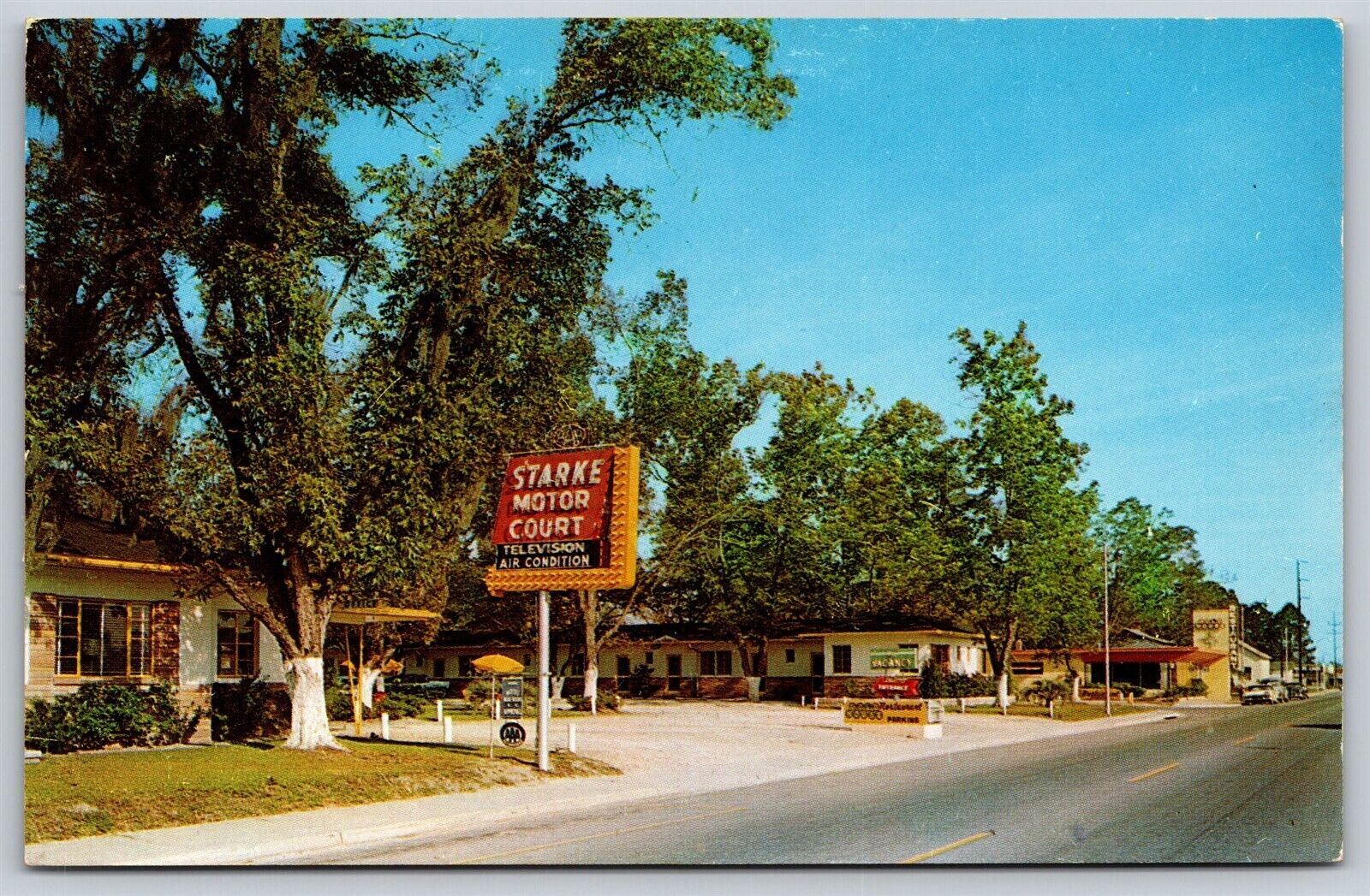 Postcard Starke Motor Court, Starke, Florida T143
