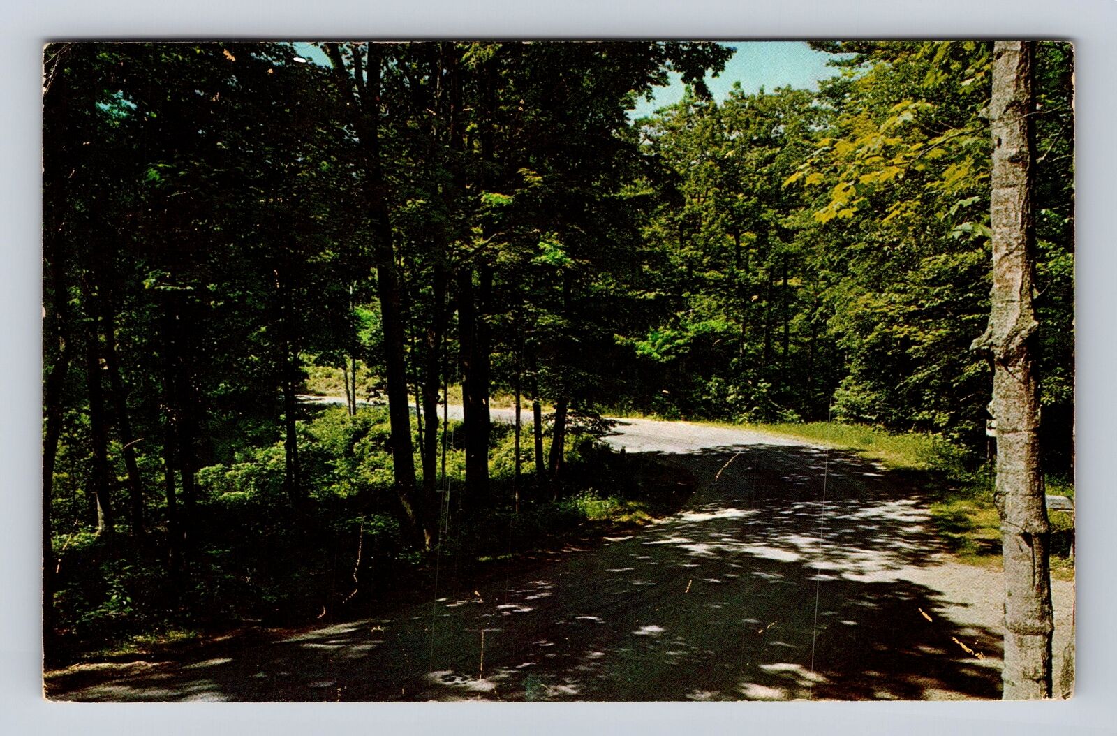 MI-Michigan, Devils\' Elbow, Lake Shore Drive, Antique, Vintage PC c1965 Postcard