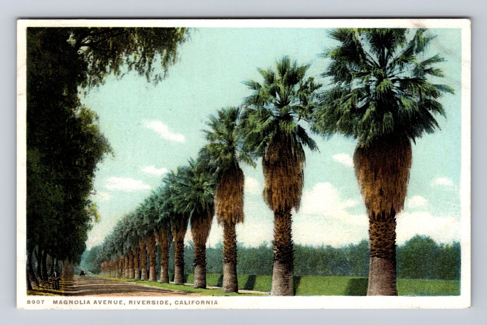 Riverside CA-California, Magnolia Avenue, Advertisement, Vintage Postcard