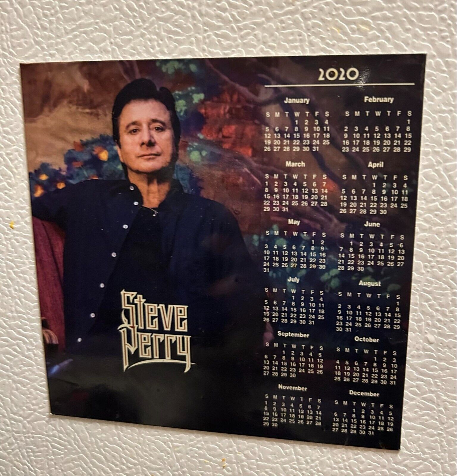 Steve Perry Calendar 2020
