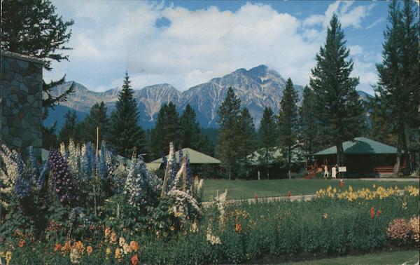 Canada 1957 Jasper National Park,AB Glimpse of Lodge Cottages Alberta Postcard