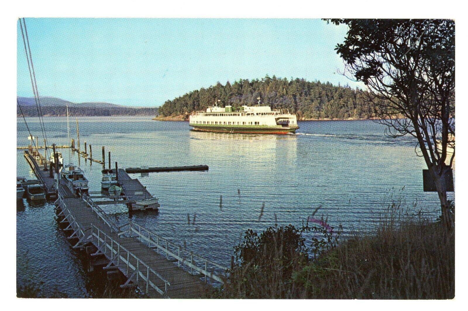 Friday Harbor San Juan Island Washington Evergreen State Ferry Boat Postcard