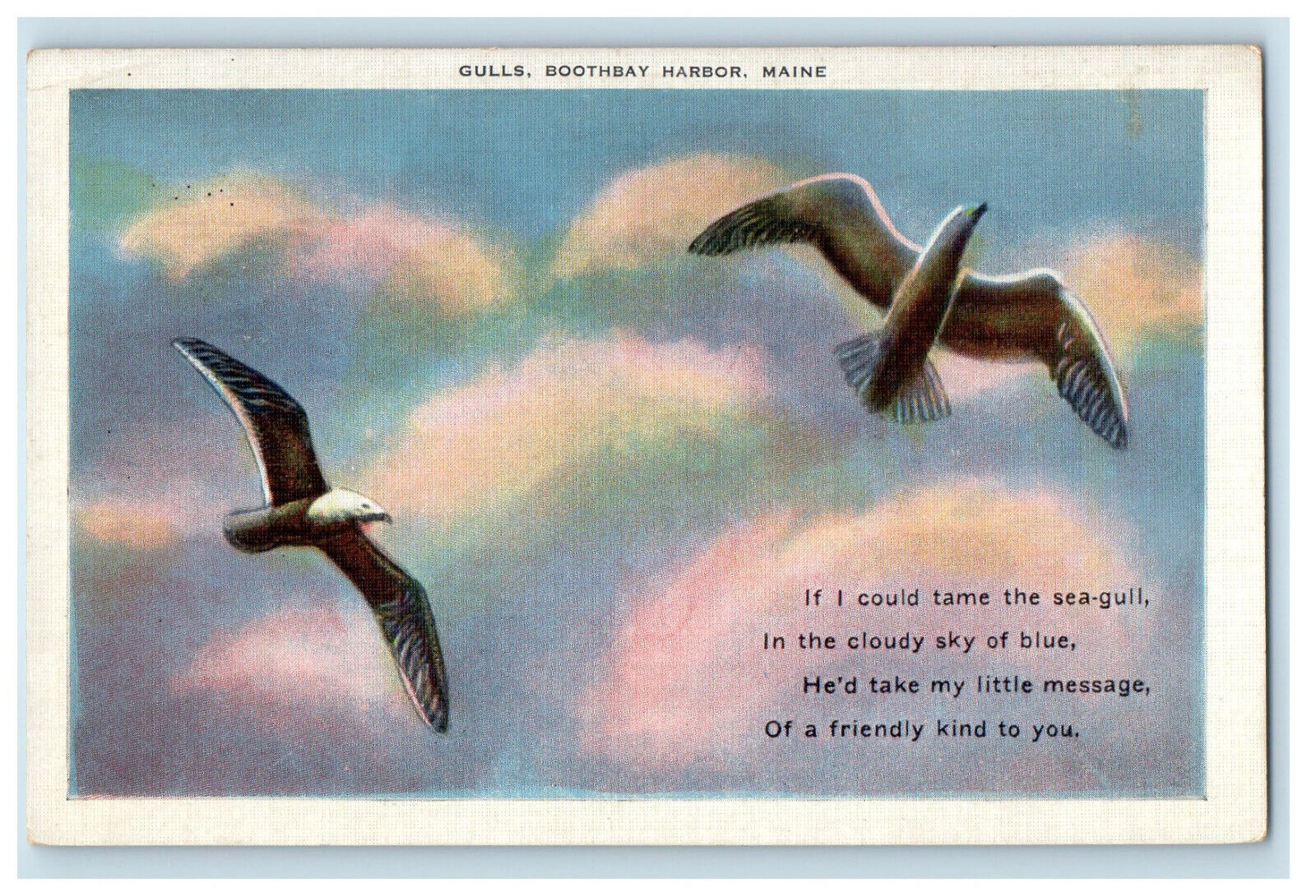 c1920s Two Gulls Flying, Short Poem, Boothbay Harbor Maine ME Postcard