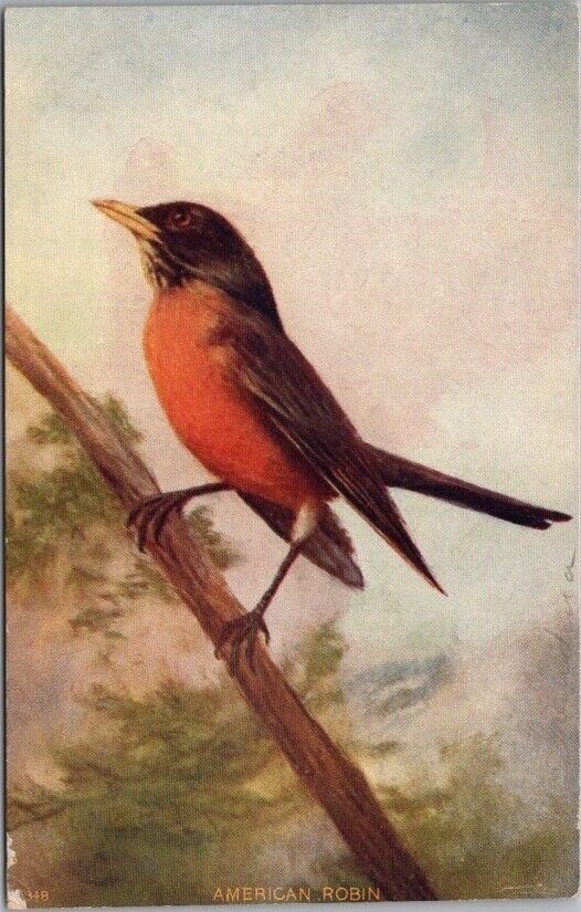 Vintage 1910s BIRD Greetings Postcard \