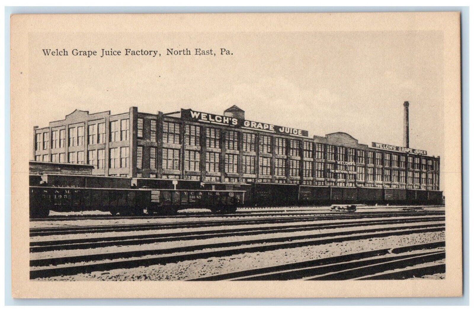 c1910's Welch Grape Juice Factory North East Pennsylvania PA Antique Postcard