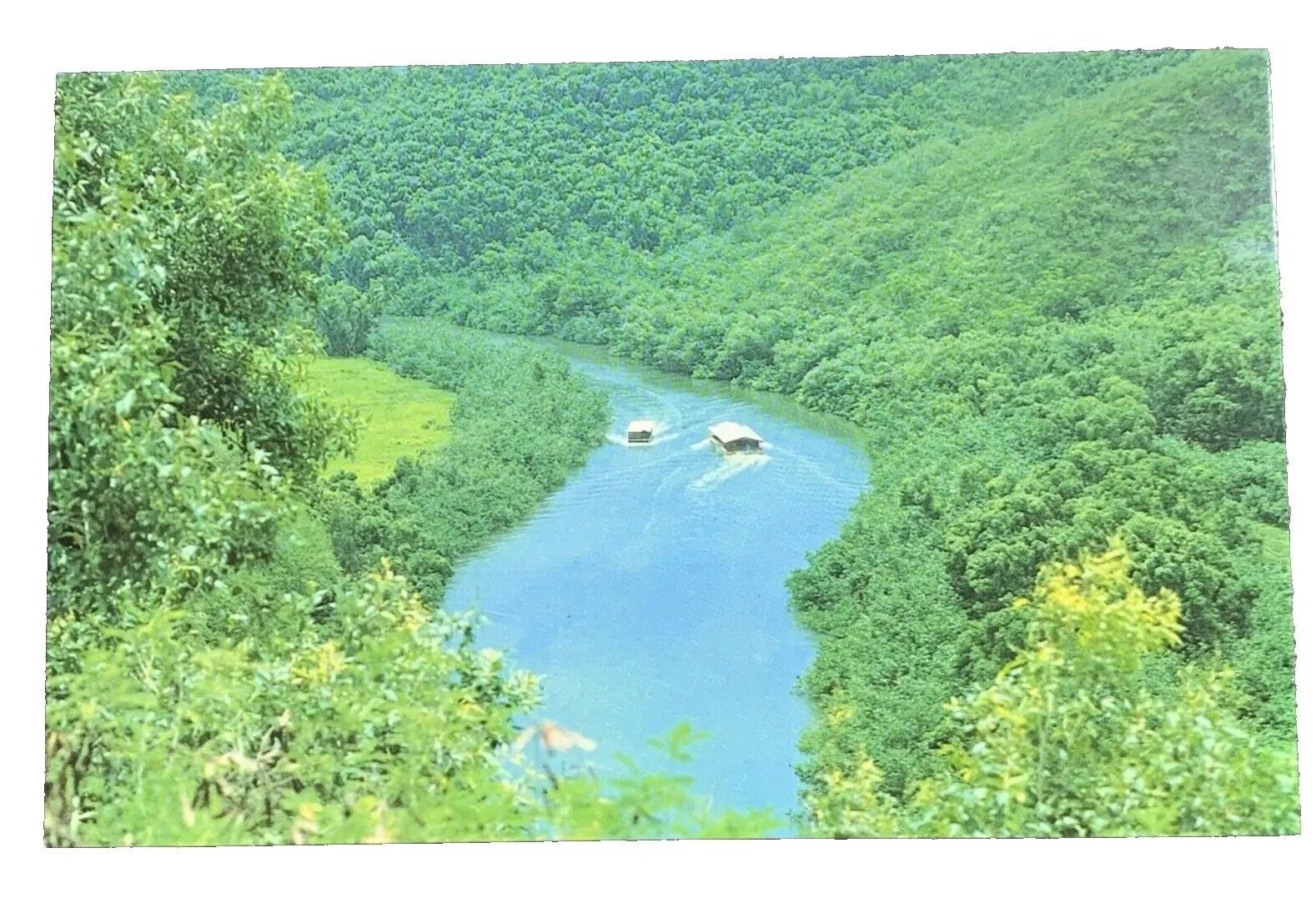 Aerial View of Wailua River Island of Kauai Hawaii Postcard Unposted