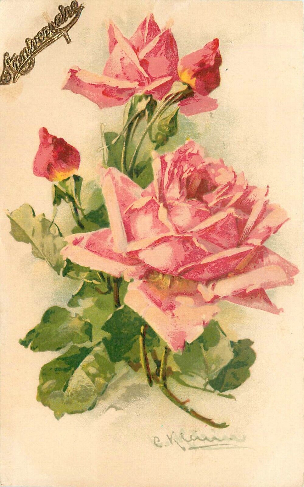 Postcard 1929 Klein Flowers Floral Artist 22-12038