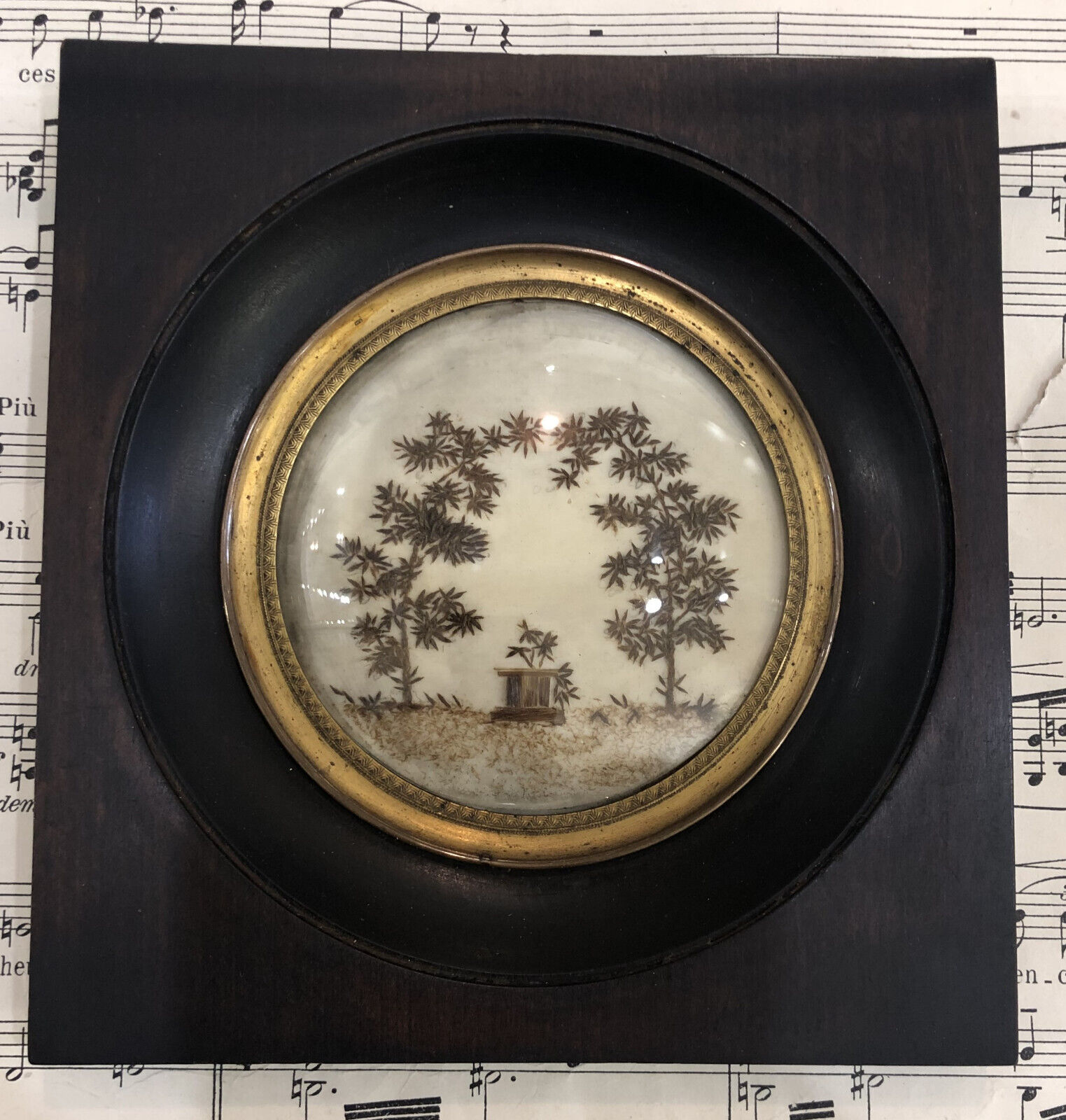 Rare Antique French Mourning Hair Art Domed Glass Wooden Frame Trees Tomb c1840