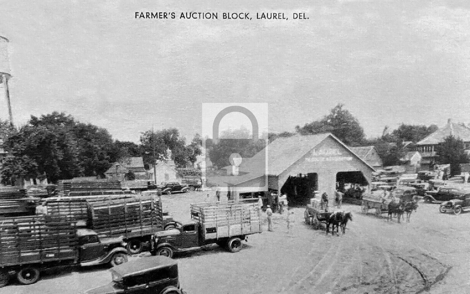 Farmers Auction Block Laurel Delaware DE Reprint Postcard