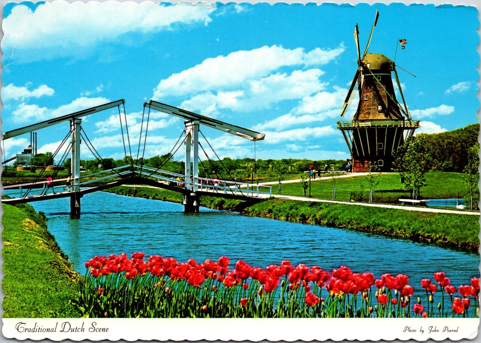Drawbridge Windmill Tulips Holland Michigan MI Continental 6x4 Postcard L66