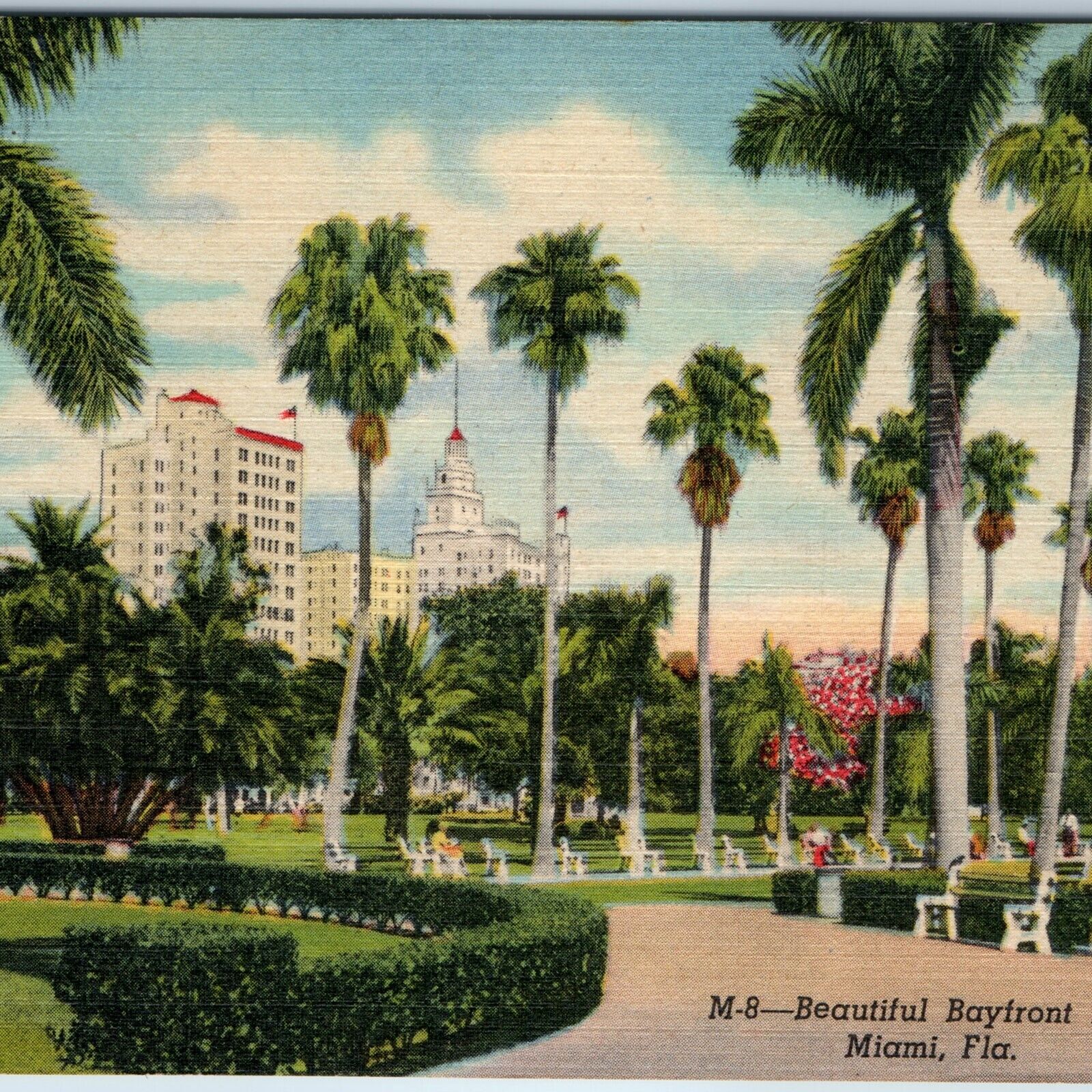1951 Miami, FL Lovely Bayfront Park Palm Tree Landscaping Teich Gulf Stream A210