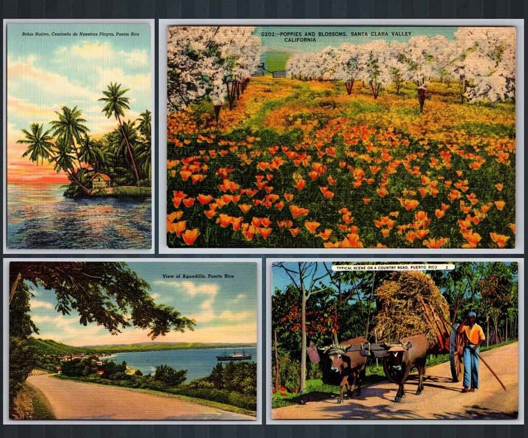 eStampsNet - Puerto Rico Lot of 4 Postcard