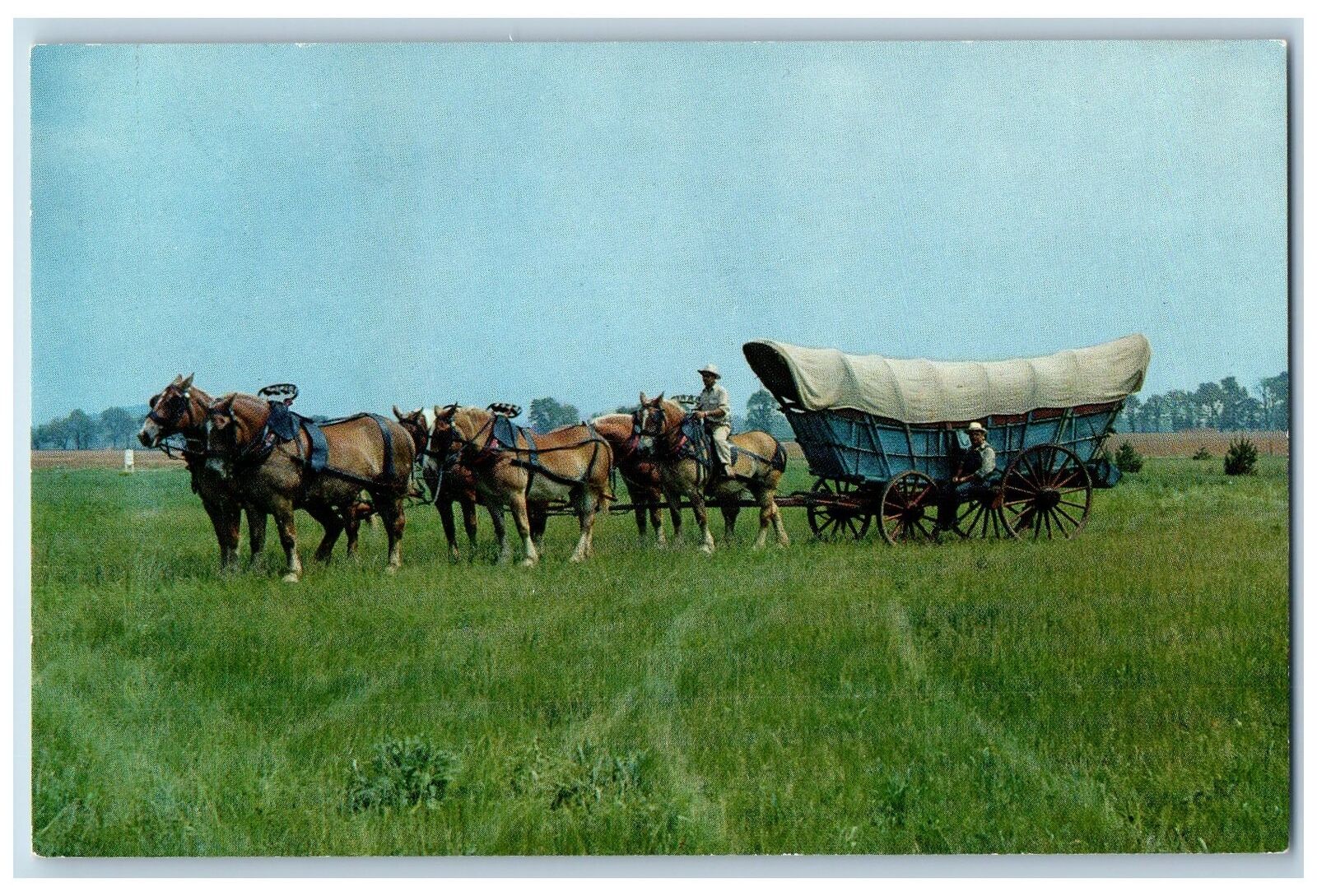 Lancaster Pennsylvania PA Postcard Conestoga Wagon Farm Museum c1960\'s Wagons