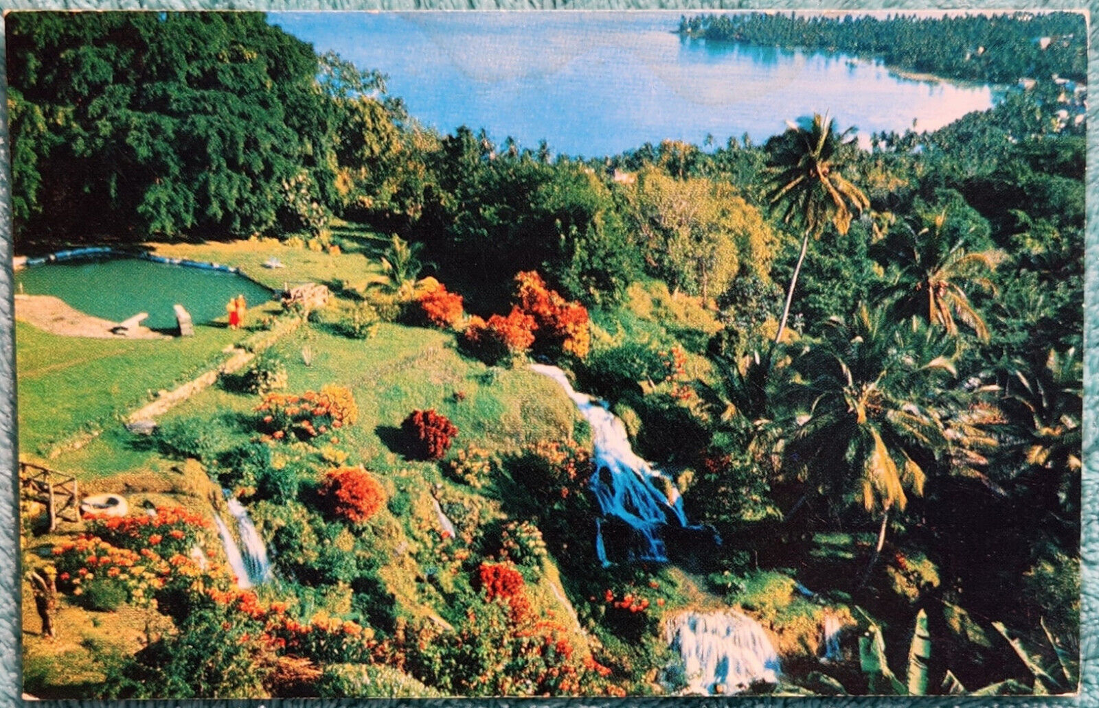 Gardens Near Jamaica\'s North Shore 1950\'s Vintage Unused Postcard