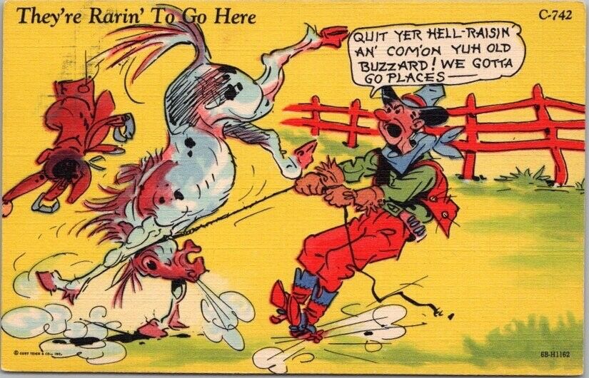 c1940s RAY WALTERS Comic Linen Postcard Cowboy / Horse \