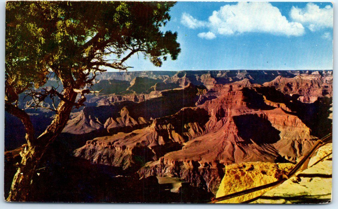 Postcard - Grand Canyon National Park. Arizona