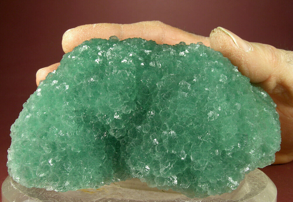 RICH GREEN STEPPED FLUORITE CRYSTALS SUPERB DETAIL, XINYANG CHINA GLOBE MINERALS