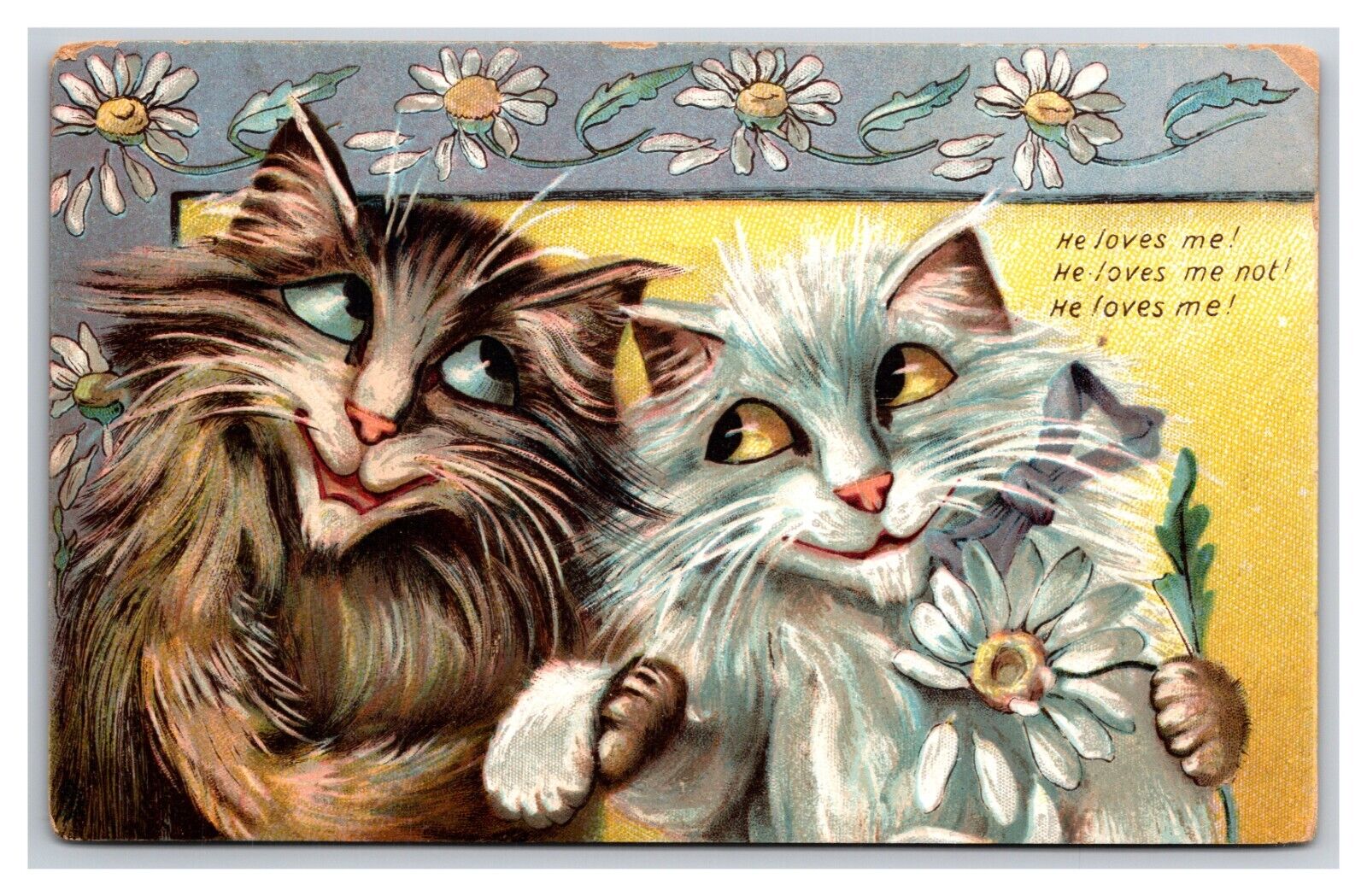 Cats Daisies She Loves Me Maurice Boulanger Raphael Tuck UNP DB Postcard L19