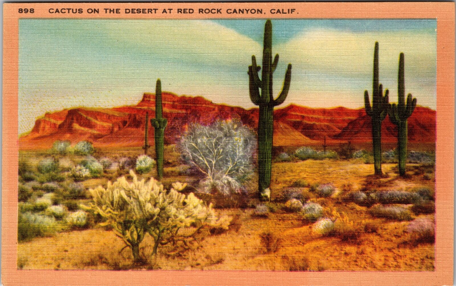 Red Rock Canyon CA-California, Cactus In Desert, Vintage Postcard