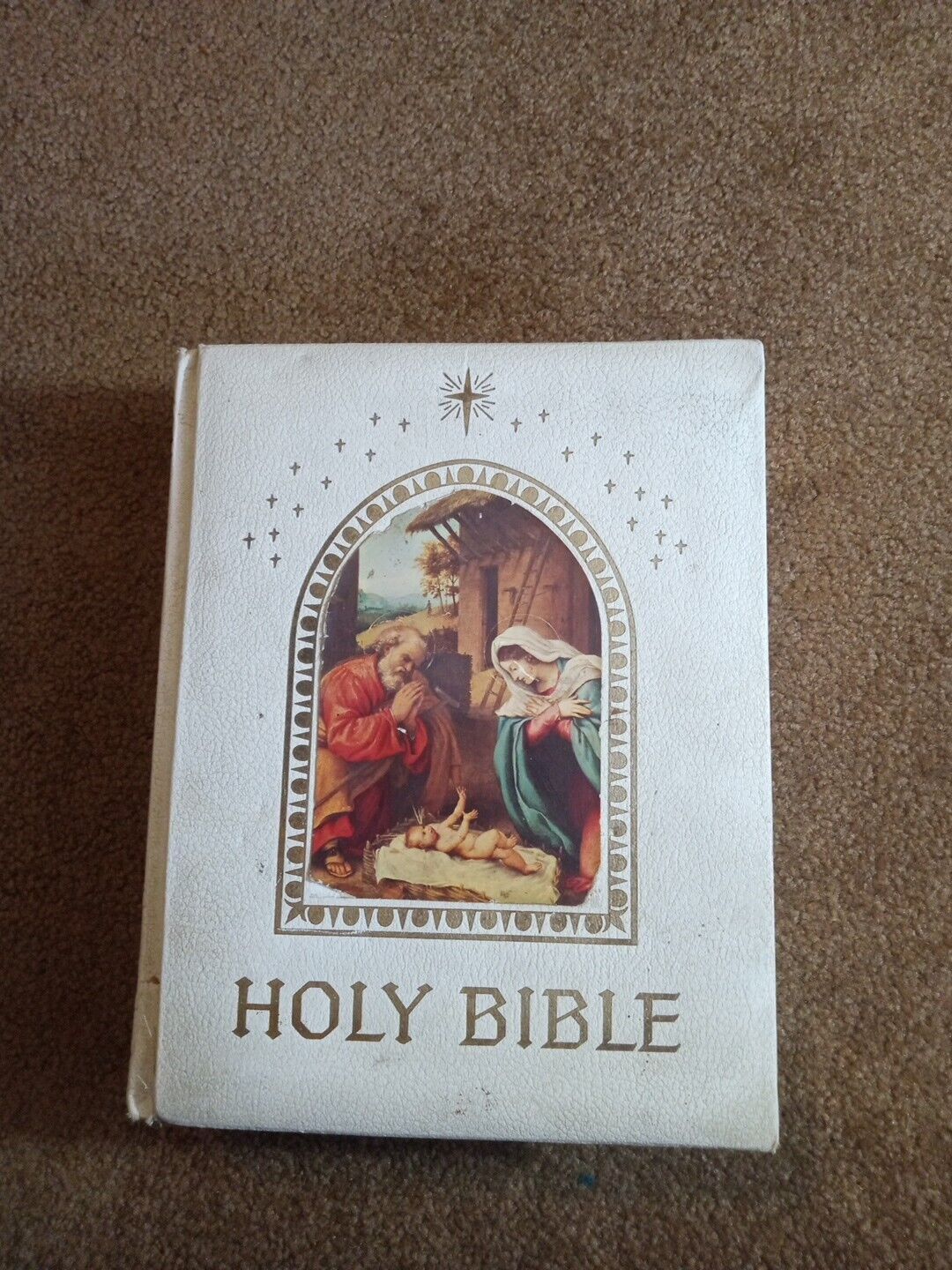 Holy Bible Catholic Life Deluxe Edition Cosmetic Issues 