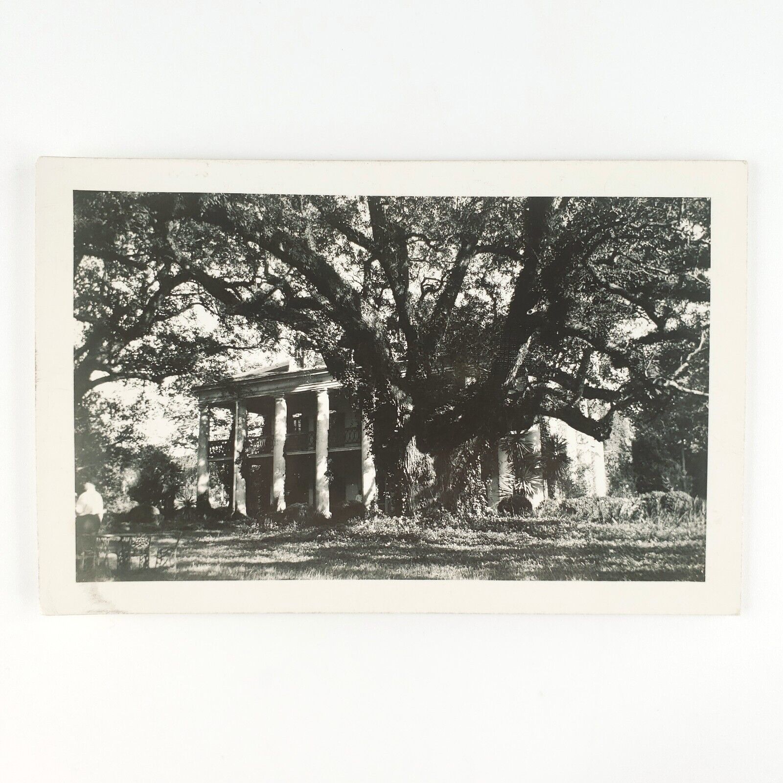 Oak Alley Plantation RPPC Postcard 1940s Vacherie Louisiana House Photo LA C2635