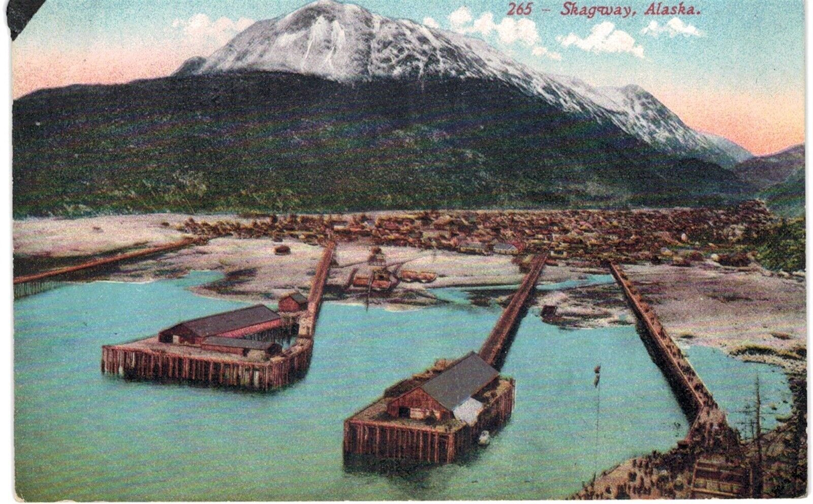 Skagway AK Early Bird\'s Eye View Town Docks From Water 1910  Unused 