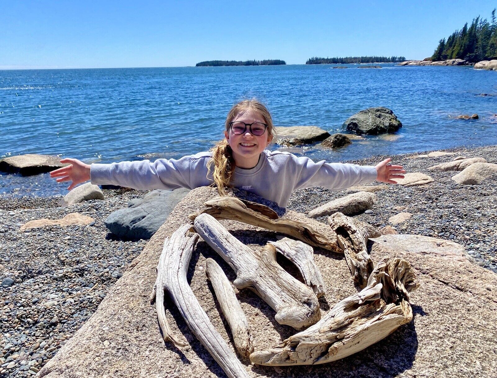 🌊 🪵 Maine-North Atlantic Driftwood, found by 11yr old hiker K. I. Carver.
